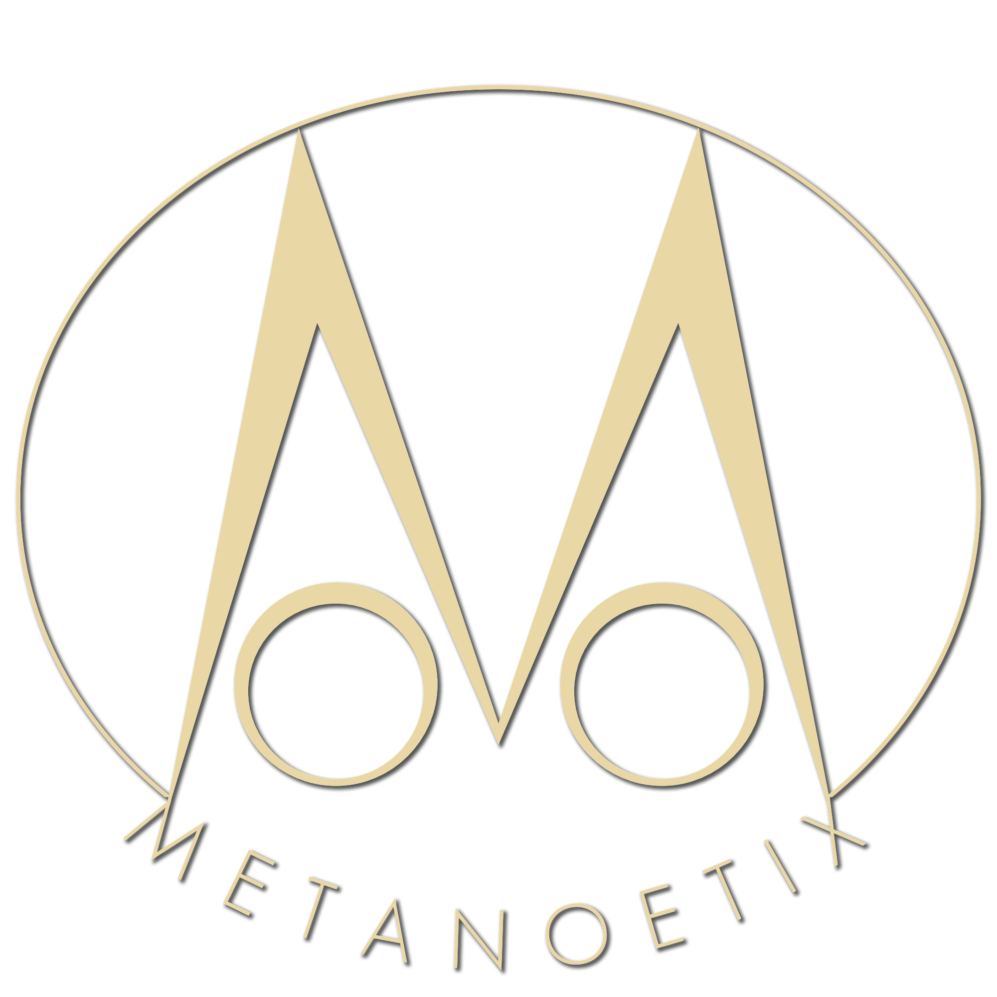 Metanoetix